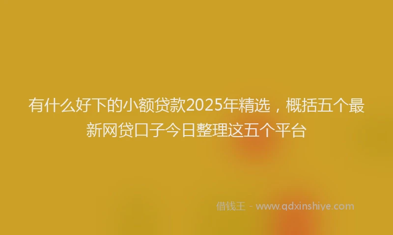 有什么好下的小额贷款2025年精选，概括五个最新网贷口子今日整理这五个平台