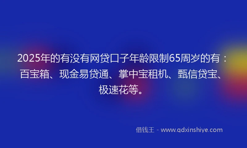 2025年的有没有网贷口子年龄限制65周岁的有：百宝箱、现金易贷通、掌中宝租机、甄信贷宝、极速花等。