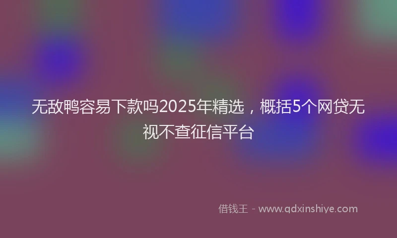 无敌鸭容易下款吗2025年精选，概括5个网贷无视不查征信平台
