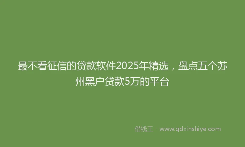 最不看征信的贷款软件2025年精选，盘点五个苏州黑户贷款5万的平台