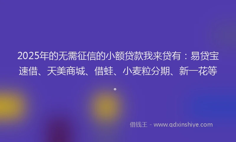 2025年的无需征信的小额贷款我来贷有：易贷宝速借、天美商城、借蛙、小麦粒分期、新一花等。