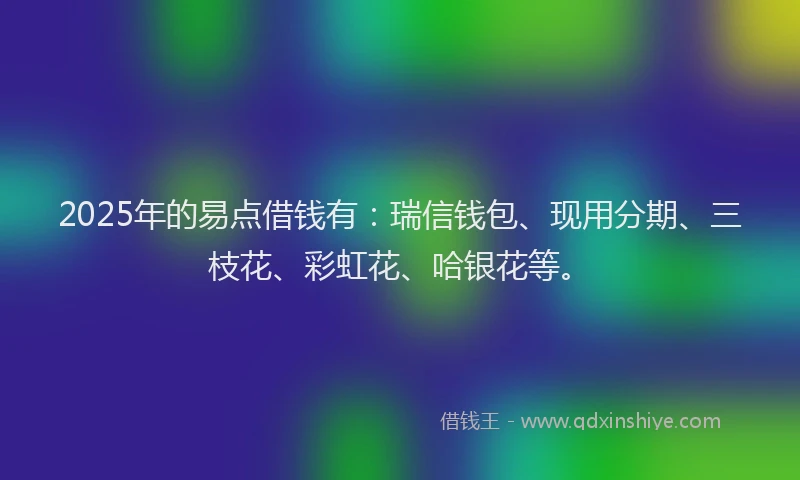 2025年的易点借钱有：瑞信钱包、现用分期、三枝花、彩虹花、哈银花等。