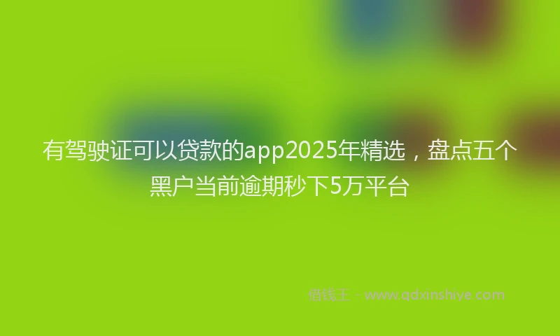 有驾驶证可以贷款的app2025年精选，盘点五个黑户当前逾期秒下5万平台