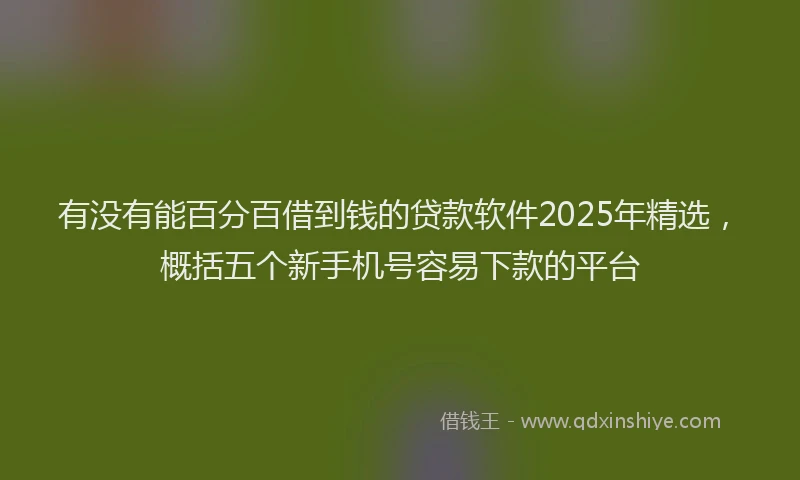 有没有能百分百借到钱的贷款软件2025年精选，概括五个新手机号容易下款的平台