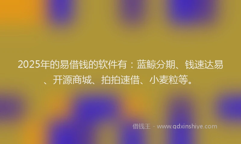 2025年的易借钱的软件有：蓝鲸分期、钱速达易、开源商城、拍拍速借、小麦粒等。