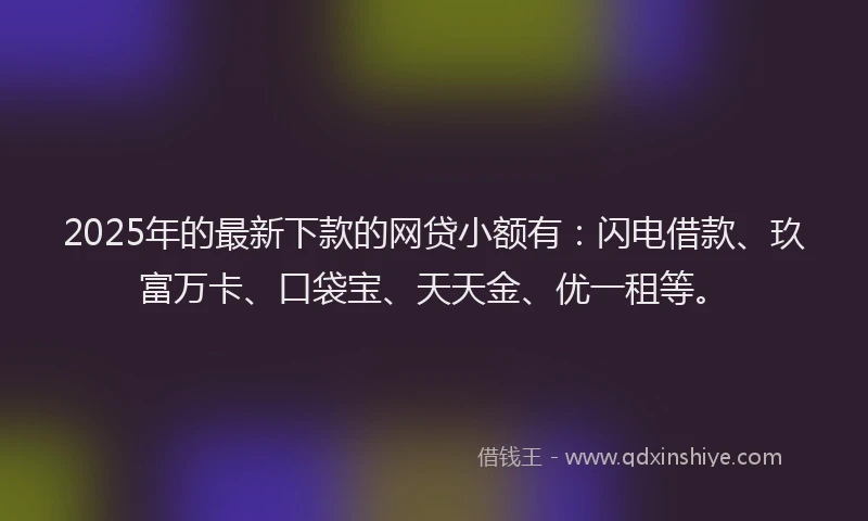2025年的最新下款的网贷小额有：闪电借款、玖富万卡、口袋宝、天天金、优一租等。