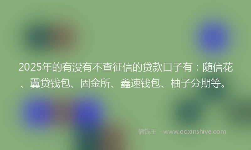 2025年的有没有不查征信的贷款口子有：随信花、翼贷钱包、固金所、鑫速钱包、柚子分期等。
