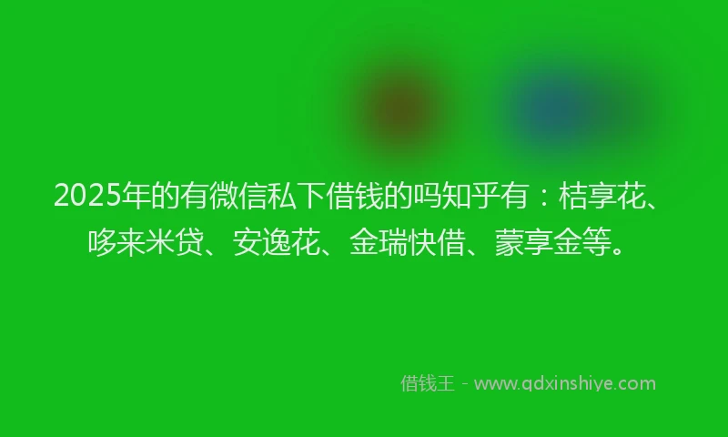 2025年的有微信私下借钱的吗知乎有：桔享花、哆来米贷、安逸花、金瑞快借、蒙享金等。