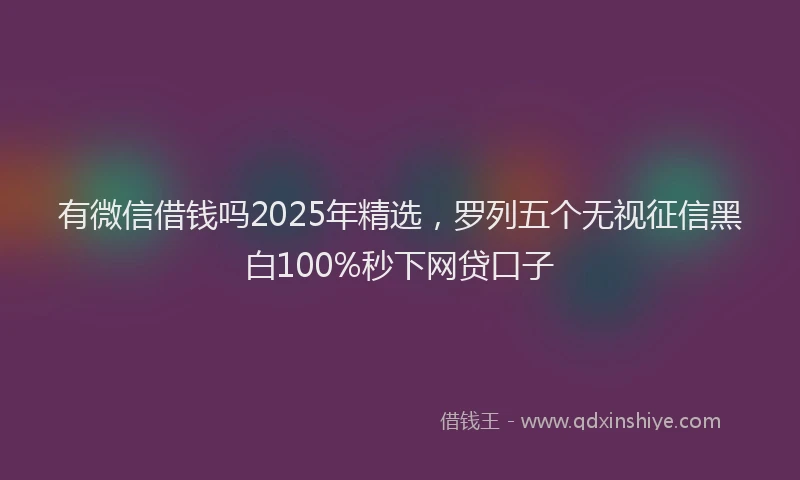 有微信借钱吗2025年精选，罗列五个无视征信黑白100%秒下网贷口子