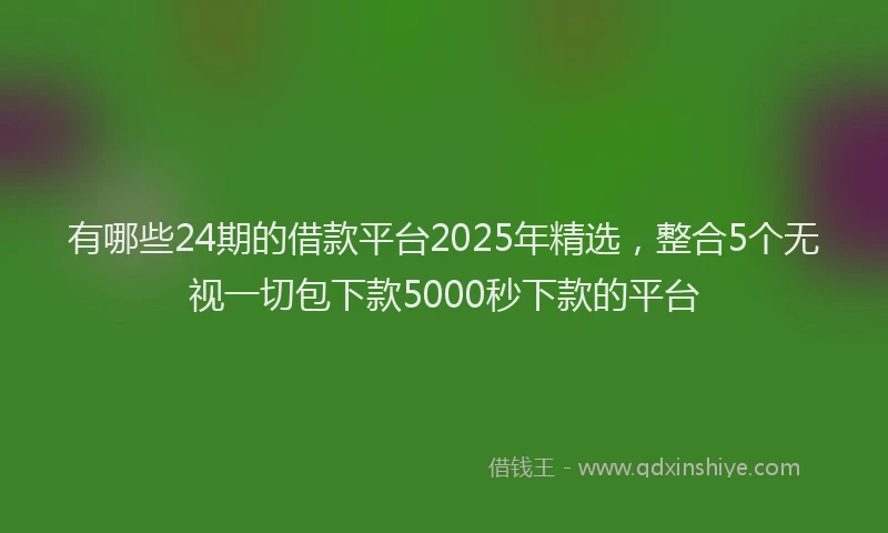 有哪些24期的借款平台2025年精选，整合5个无视一切包下款5000秒下款的平台