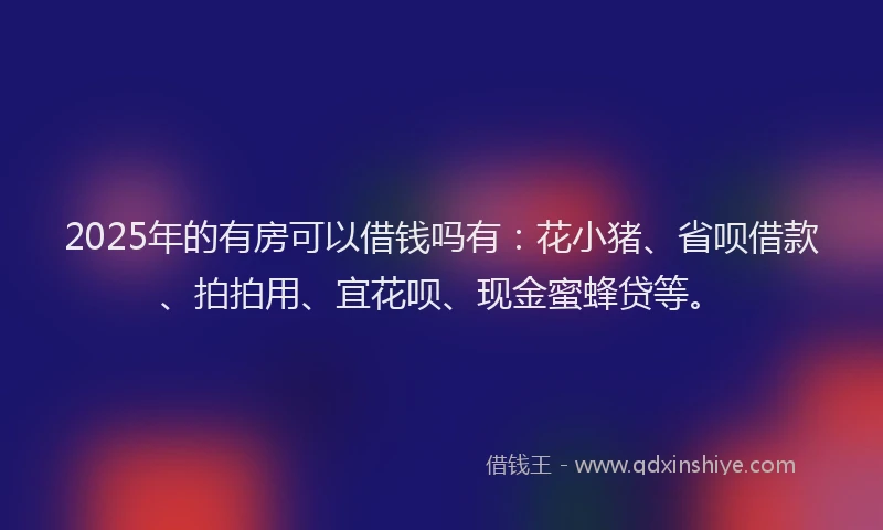 2025年的有房可以借钱吗有：花小猪、省呗借款、拍拍用、宜花呗、现金蜜蜂贷等。