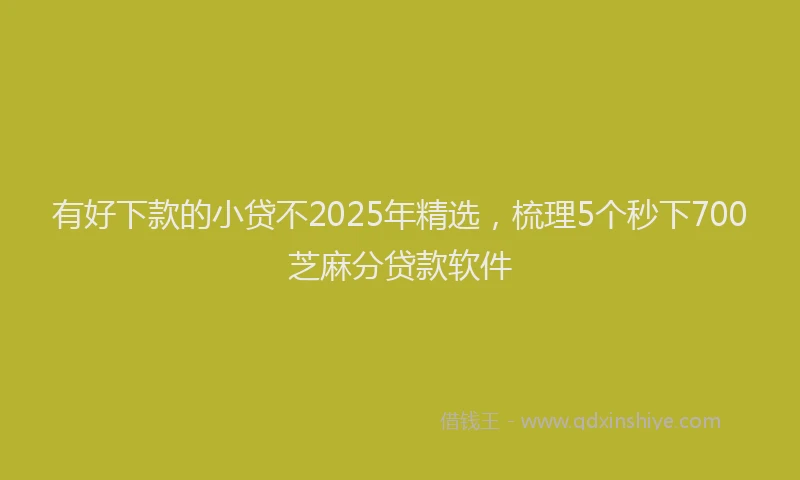 有好下款的小贷不2025年精选，梳理5个秒下700芝麻分贷款软件