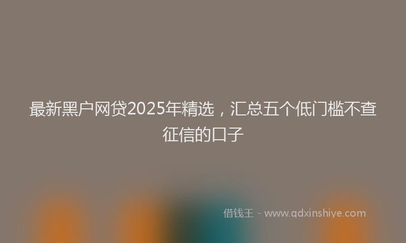 最新黑户网贷2025年精选，汇总五个低门槛不查征信的口子