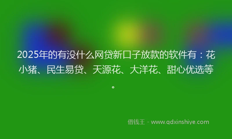 2025年的有没什么网贷新口子放款的软件有：花小猪、民生易贷、天源花、大洋花、甜心优选等。