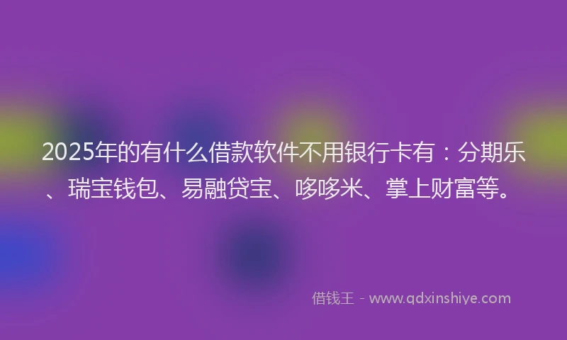 2025年的有什么借款软件不用银行卡有：分期乐、瑞宝钱包、易融贷宝、哆哆米、掌上财富等。