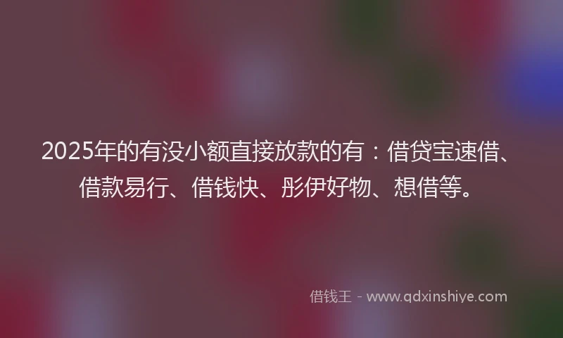2025年的有没小额直接放款的有：借贷宝速借、借款易行、借钱快、彤伊好物、想借等。