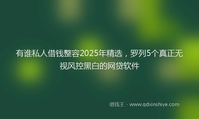有谁私人借钱整容2025年精选，罗列5个真正无视风控黑白的网贷软件