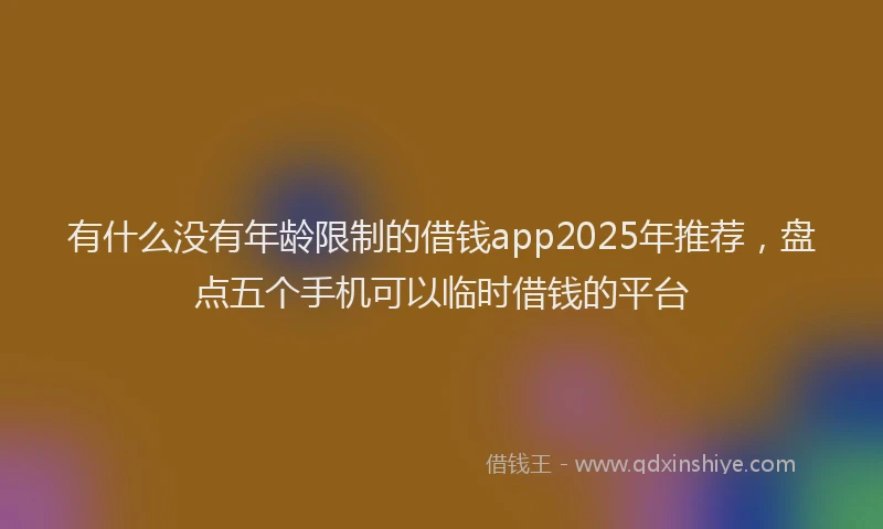 有什么没有年龄限制的借钱app2025年推荐，盘点五个手机可以临时借钱的平台