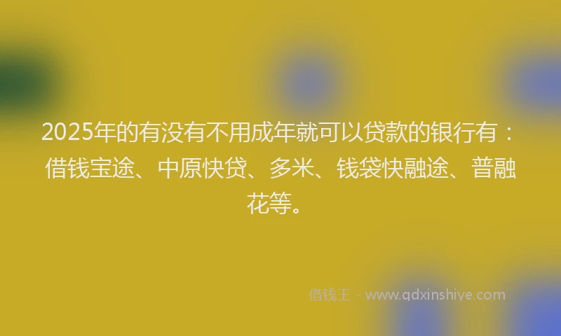 2025年的有没有不用成年就可以贷款的银行有：借钱宝途、中原快贷、多米、钱袋快融途、普融花等。