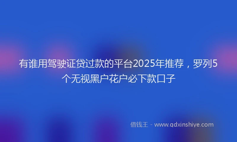 有谁用驾驶证贷过款的平台2025年推荐，罗列5个无视黑户花户必下款口子