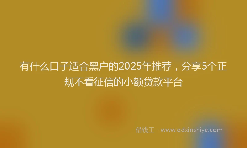 有什么口子适合黑户的2025年推荐，分享5个正规不看征信的小额贷款平台