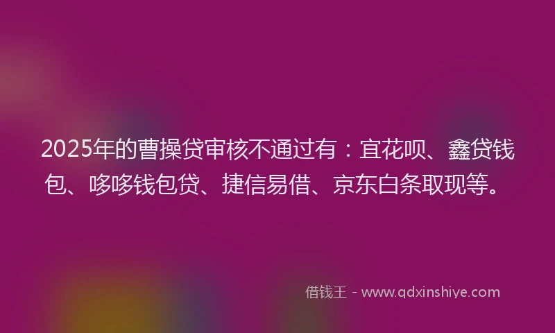 2025年的曹操贷审核不通过有：宜花呗、鑫贷钱包、哆哆钱包贷、捷信易借、京东白条取现等。