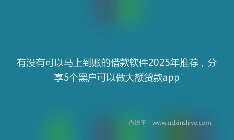 有没有可以马上到账的借款软件2025年推荐，分享5个黑户可以做大额贷款app