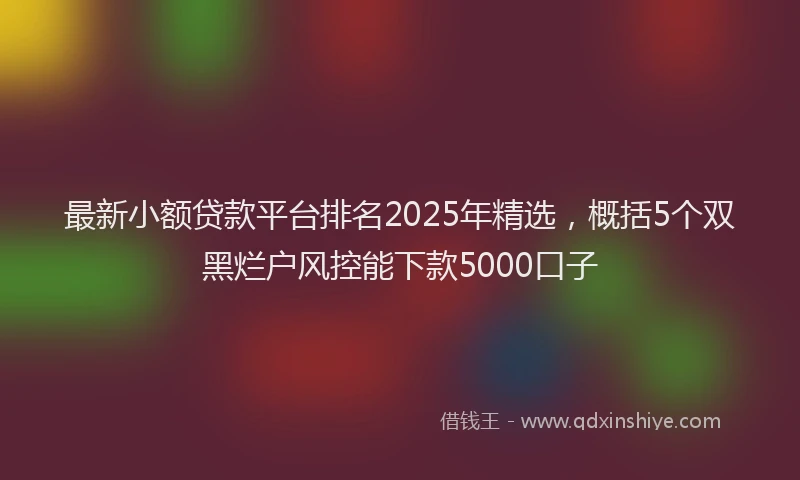 最新小额贷款平台排名2025年精选，概括5个双黑烂户风控能下款5000口子