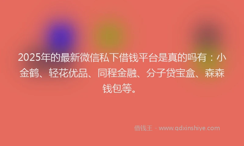 2025年的最新微信私下借钱平台是真的吗有：小金鹤、轻花优品、同程金融、分子贷宝盒、森森钱包等。