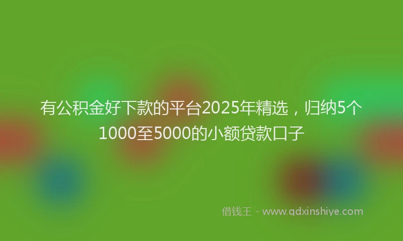 有公积金好下款的平台2025年精选，归纳5个1000至5000的小额贷款口子
