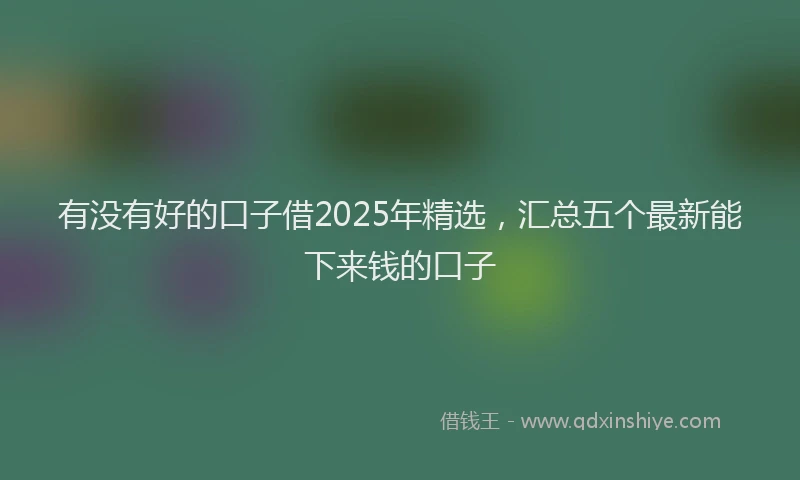 有没有好的口子借2025年精选，汇总五个最新能下来钱的口子