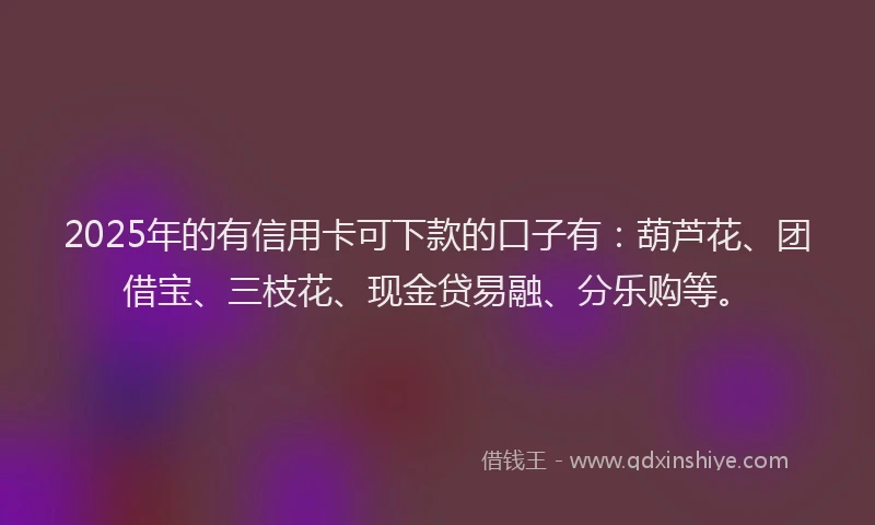 2025年的有信用卡可下款的口子有：葫芦花、团借宝、三枝花、现金贷易融、分乐购等。
