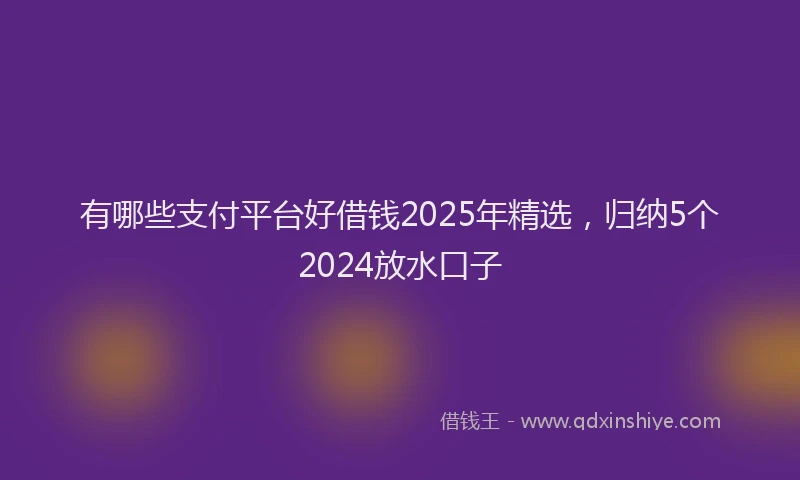 有哪些支付平台好借钱2025年精选，归纳5个2024放水口子