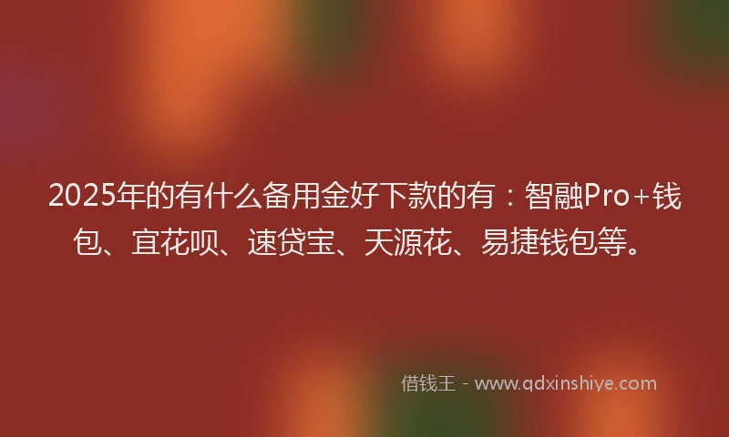 2025年的有什么备用金好下款的有：智融Pro+钱包、宜花呗、速贷宝、天源花、易捷钱包等。