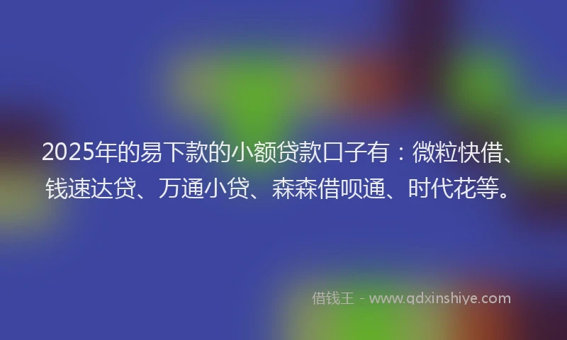 2025年的易下款的小额贷款口子有：微粒快借、钱速达贷、万通小贷、森森借呗通、时代花等。