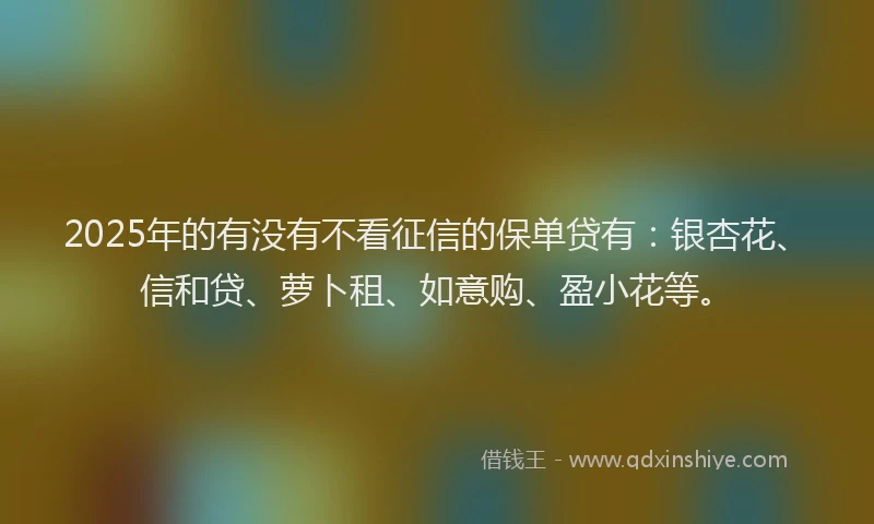 2025年的有没有不看征信的保单贷有：银杏花、信和贷、萝卜租、如意购、盈小花等。
