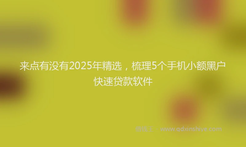 来点有没有2025年精选，梳理5个手机小额黑户快速贷款软件