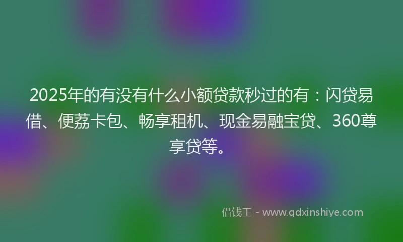 2025年的有没有什么小额贷款秒过的有：闪贷易借、便荔卡包、畅享租机、现金易融宝贷、360尊享贷等。