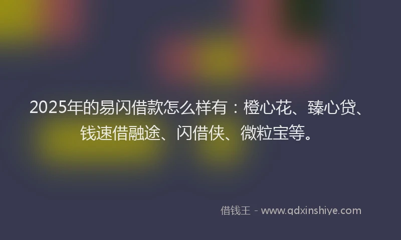 2025年的易闪借款怎么样有：橙心花、臻心贷、钱速借融途、闪借侠、微粒宝等。