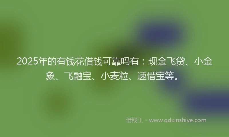 2025年的有钱花借钱可靠吗有：现金飞贷、小金象、飞融宝、小麦粒、速借宝等。