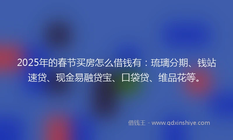 2025年的春节买房怎么借钱有：琉璃分期、钱站速贷、现金易融贷宝、口袋贷、维品花等。