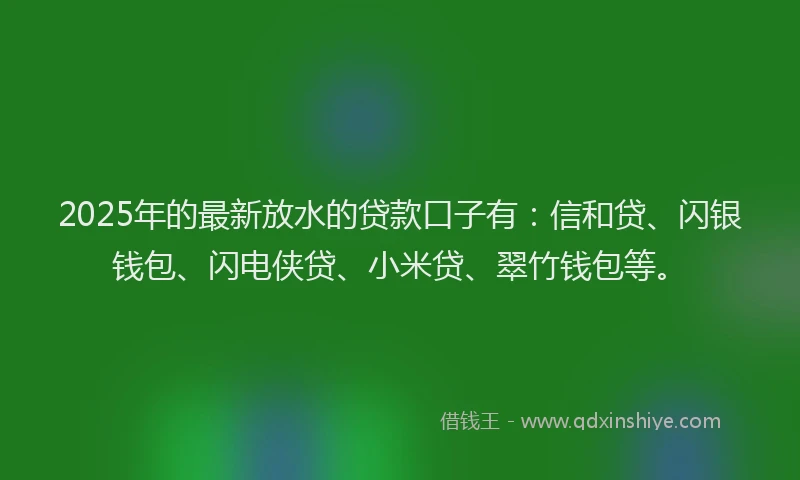 2025年的最新放水的贷款口子有：信和贷、闪银钱包、闪电侠贷、小米贷、翠竹钱包等。