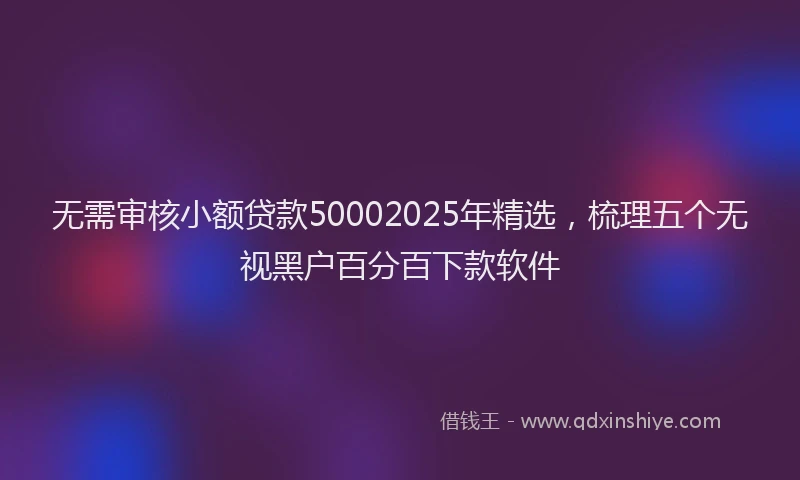 无需审核小额贷款50002025年精选，梳理五个无视黑户百分百下款软件