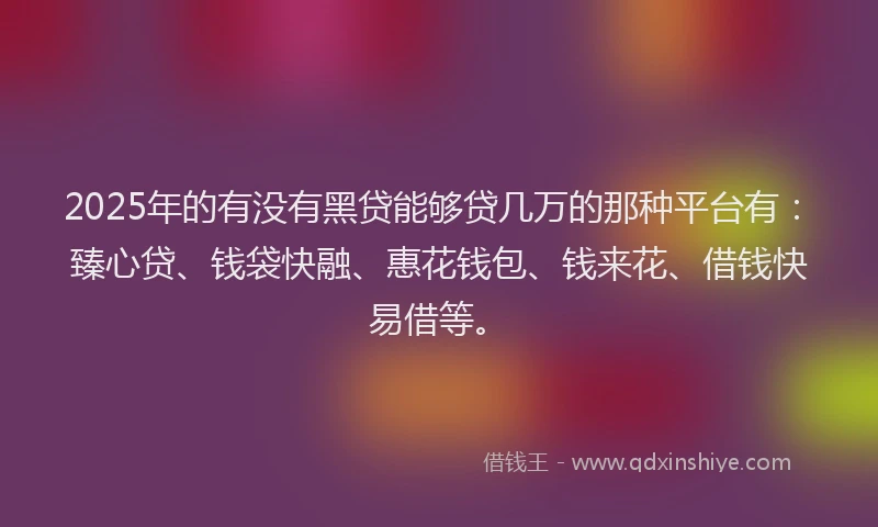 2025年的有没有黑贷能够贷几万的那种平台有：臻心贷、钱袋快融、惠花钱包、钱来花、借钱快易借等。