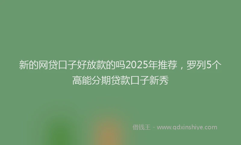新的网贷口子好放款的吗2025年推荐，罗列5个高能分期贷款口子新秀