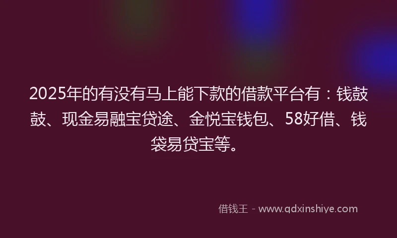 2025年的有没有马上能下款的借款平台有：钱鼓鼓、现金易融宝贷途、金悦宝钱包、58好借、钱袋易贷宝等。