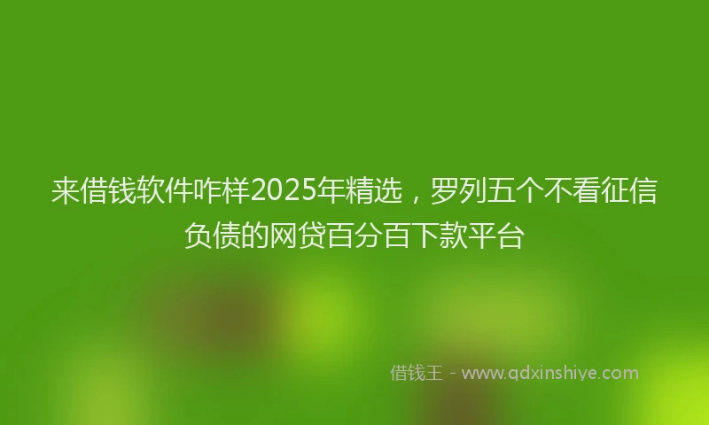 来借钱软件咋样2025年精选，罗列五个不看征信负债的网贷百分百下款平台