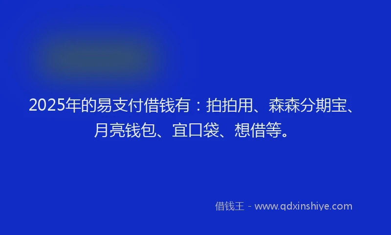 2025年的易支付借钱有：拍拍用、森森分期宝、月亮钱包、宜口袋、想借等。