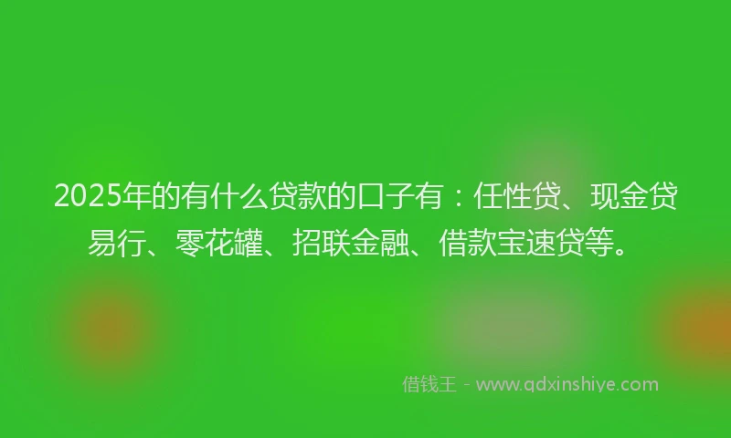 2025年的有什么贷款的口子有：任性贷、现金贷易行、零花罐、招联金融、借款宝速贷等。