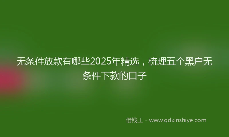 无条件放款有哪些2025年精选，梳理五个黑户无条件下款的口子